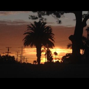 Meet your Posher, Iris